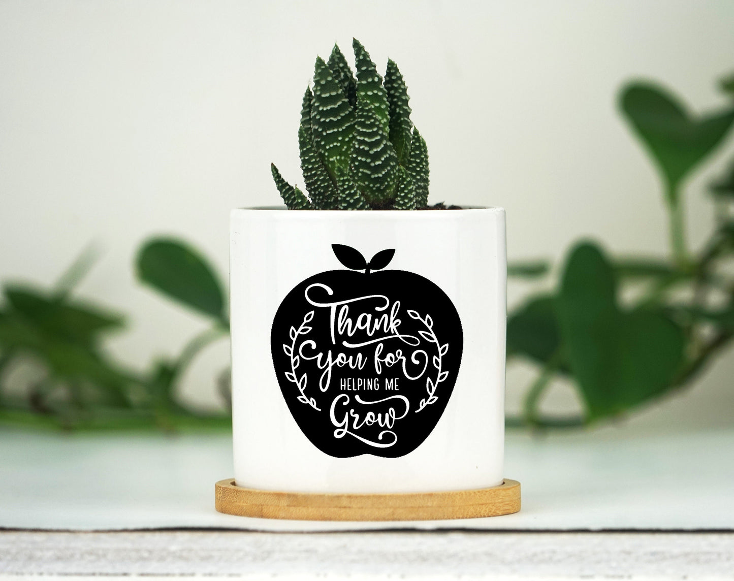 Personalized Teacher Gift - Teacher's Name - 3" White Ceramic Pot w/ Bamboo Tray - Custom Succulent Pot - Teacher Graduation Gift