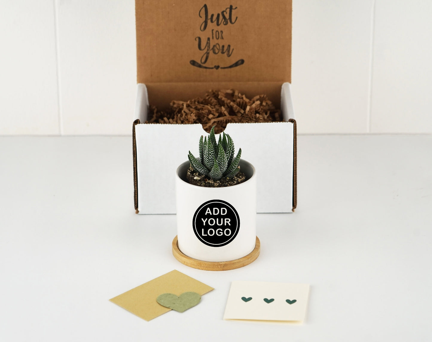 Double Sided Planter With Custom Business Logo (FULL COLOR) - 3" Mini White Ceramic Pot w/ Bamboo Tray - Corporate Gift - Company Gift