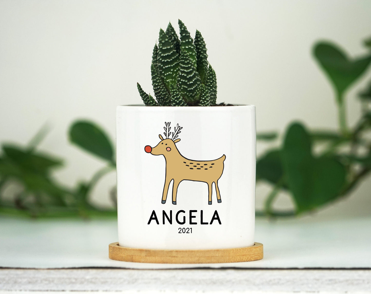 Personalized Christmas Baby Name Planter - 3" White Ceramic Pot w/ Bamboo Tray - New Baby Gift - Kids Name Gift Box - Baby Announcement
