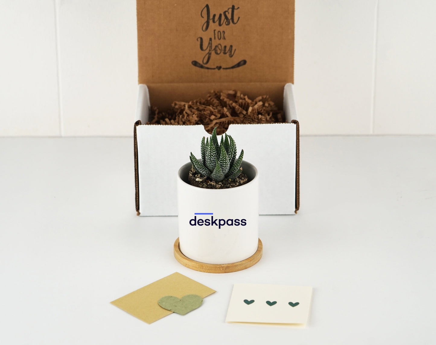 Shana - Logo Planter