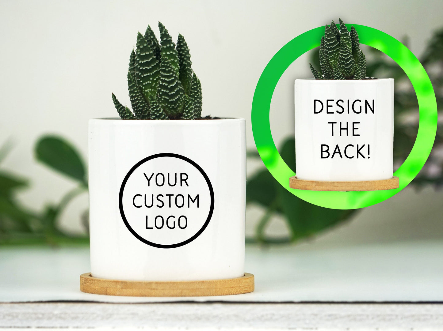 Double Sided Planter With Custom Business Logo (FULL COLOR) - 3" Mini White Ceramic Pot w/ Bamboo Tray - Corporate Gift - Company Gift