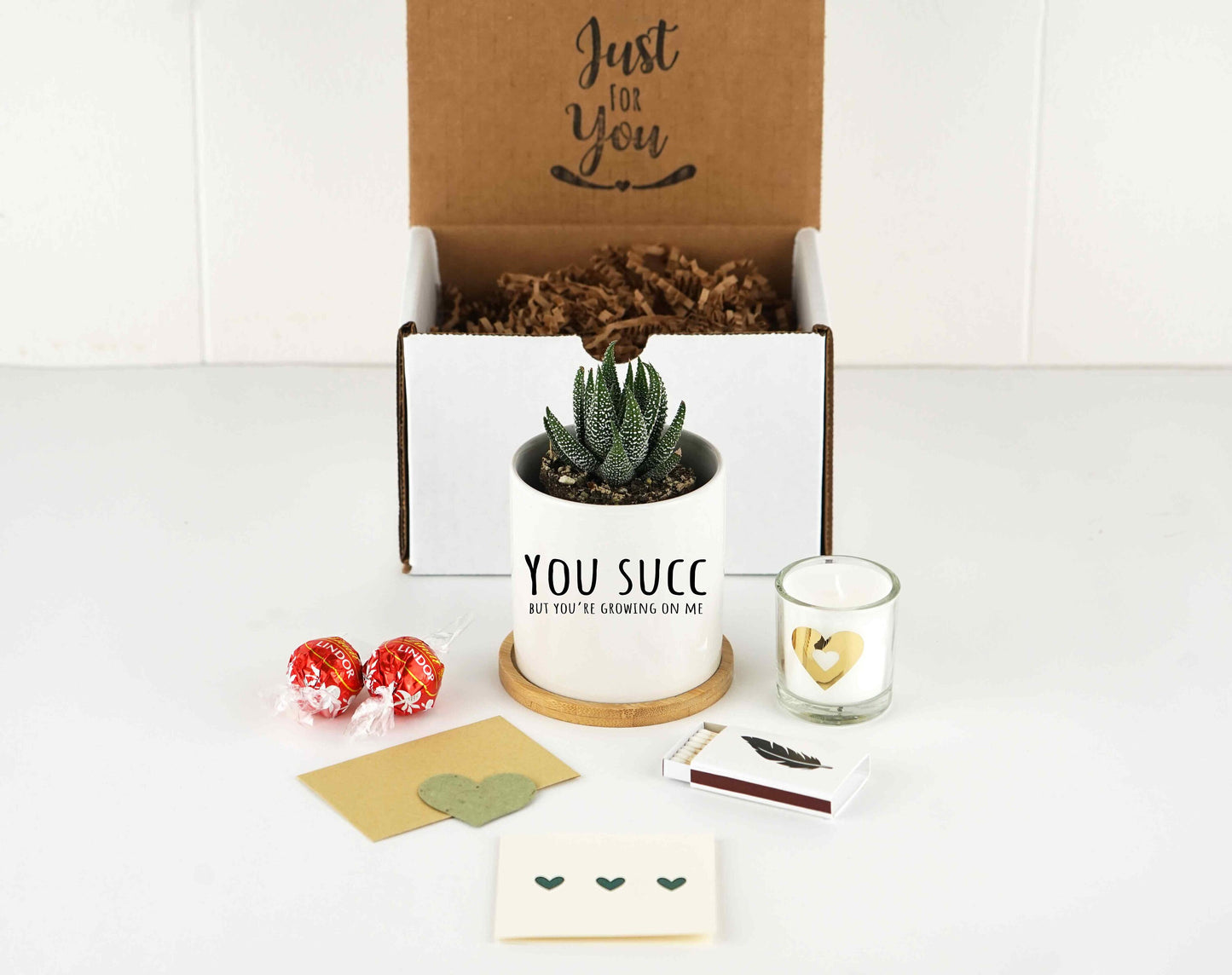 Personalized Planter Little Sister Gift Box- 3" White Ceramic Pot w/ Tray, Funny Sister Birthday Gift Box, Sister In Law Gift, Daughter Gift