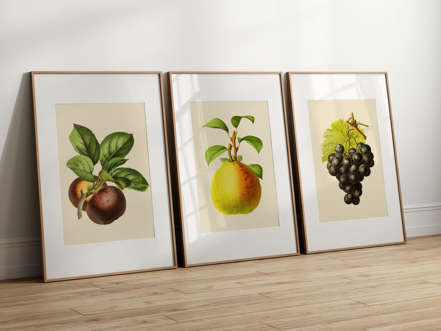 Vintage Fruit Print Set of 3- Professional Art Print Set - Kitchen Art, Botanical Art, 3 piece wall art, Kitchen wall art, Art for Kitchen