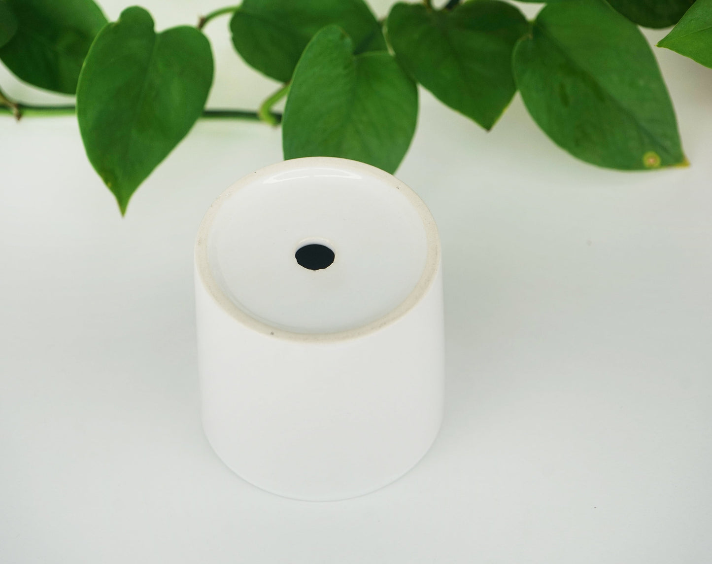 BULK 20+ Corporate Gift - Planter With Custom Business Logo - 3" Mini White Ceramic Pot w/ Bamboo Tray - Company Gift - Co-worker Gift