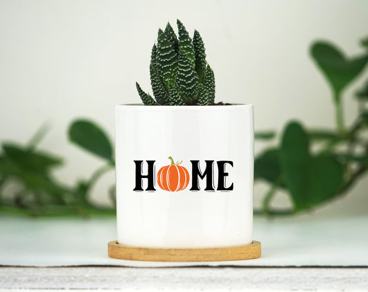 Fall Decor Planter - Mini 3" White Ceramic Pot w/ Bamboo Tray - Tier Tray Decor - Autumn Decor - Thanksgiving Decor - Pumpkin Decor