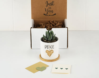 Christmas Decor Peace Planter - 3" White Ceramic Pot w/ Bamboo Tray - Holiday Decor - Christmas Decoration - Home Decor - Table Decor