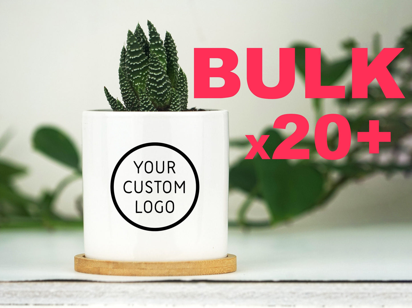 Bulk Planters With Custom Logo - 3" White Pot w/ Tray - Corporate Christmas Gifts - Company Gift - Bulk Client Gifts, Bulk Christmas Gifts