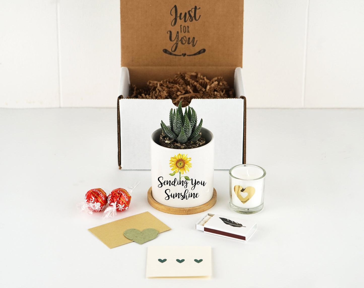 Thinking of You Gift - 3" White Ceramic Pot w/ Bamboo Tray - Succulent Gift - Missing You - Friendship Gift Box - Care Package FREE SHIPPING