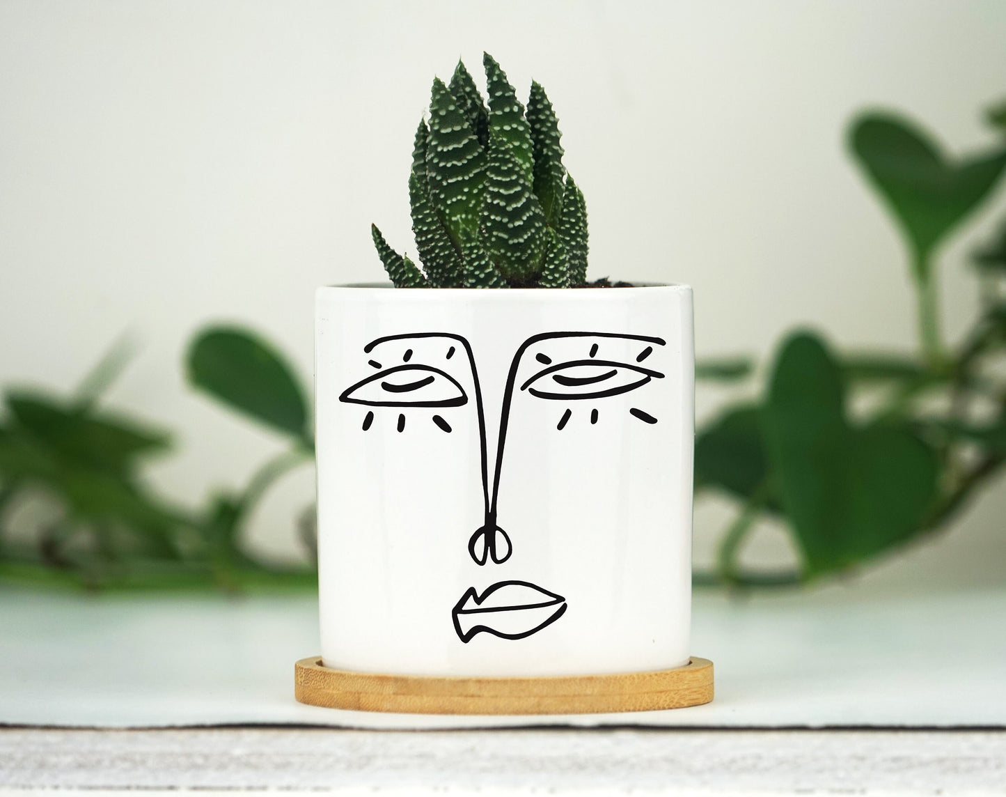 Face Planter - 3" White Ceramic Pot w/ Tray - Kitchen Decor, Living Room Decor, House Warming Gift box, New Home Basket - Gift For Her