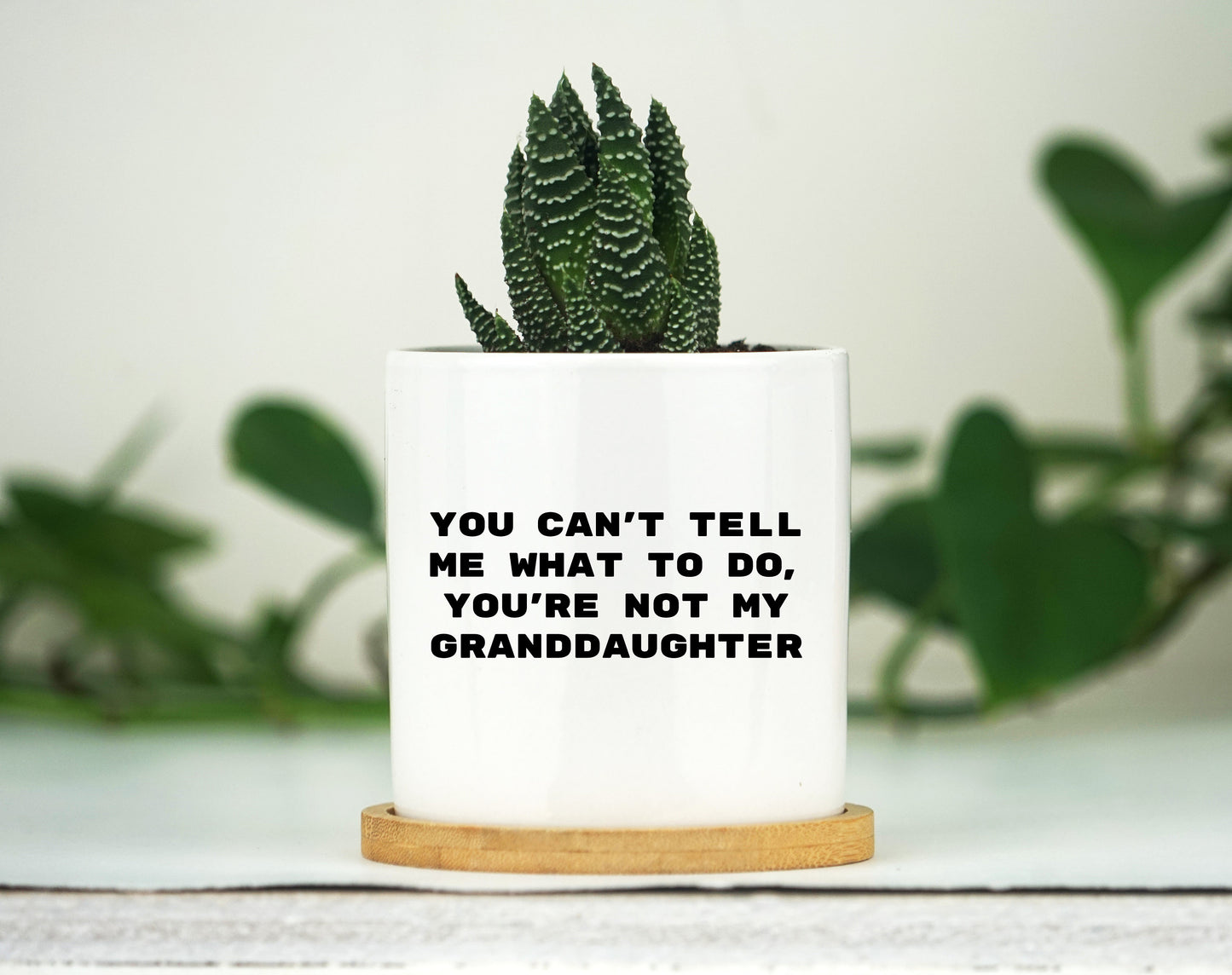You Can't Tell Me What To Do You're Not My Granddaughter -  3" White Ceramic Pot w/ Bamboo Tray - Funny Grandpa Shirt, Grandfather Shirt