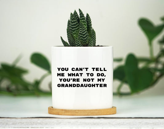 You Can't Tell Me What To Do You're Not My Granddaughter -  3" White Ceramic Pot w/ Bamboo Tray - Funny Grandpa Shirt, Grandfather Shirt