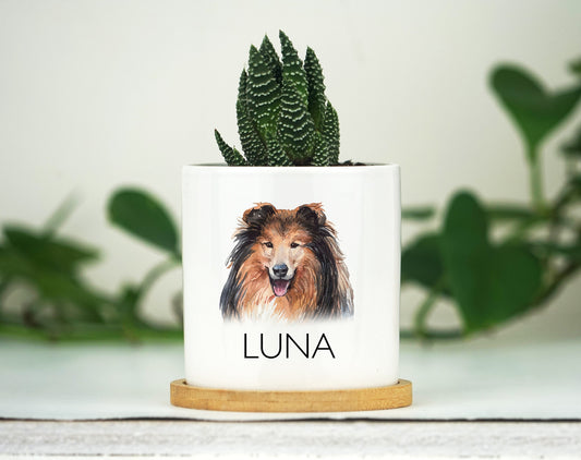 Personalized Dog Memorial Gift Planter - 3" White Ceramic Pot w/ Bamboo Tray - "Forever Loved" - Dog Sympathy Gift - Pet Memorial