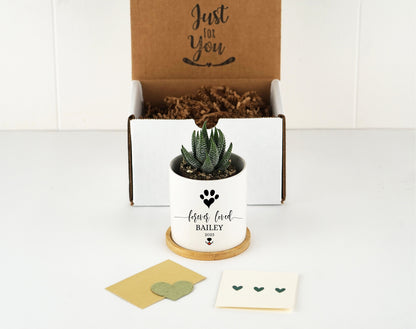 Personalized Dog - Cat - Pet Memorial Gift Planter -3" White Ceramic Pot w- Bamboo Tray - "Forever Loved" - Dog Sympathy Gift - Pet Memorial