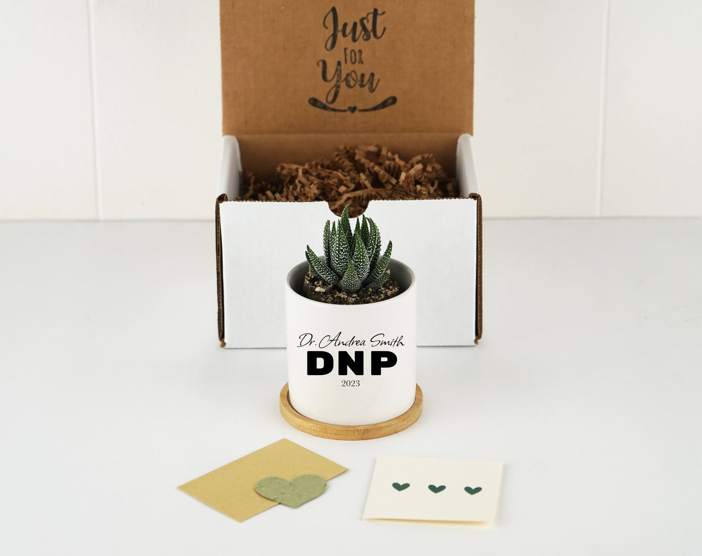 Personalized DNP Graduation Gift Box -  3" White Ceramic Pot w/ Live Plant - DNP Gift Doctor of Nursing Practice, Graduation Gift box
