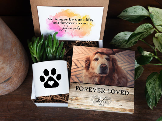 Personalized Dog Memorial Gift - 6" Photo Block + Planter - Pet Memorial Gift, Dog Memorial Frame , Loss of Dog Gift, Pet Memorial Gift Box