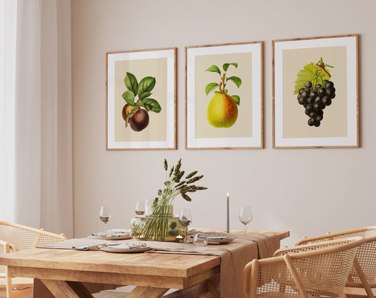 Vintage Fruit Print Set of 3- Professional Art Print Set - Kitchen Art, Botanical Art, 3 piece wall art,  Kitchen wall art, Art for Kitchen