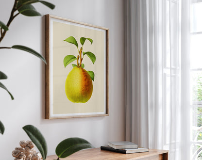 Vintage Fruit Print Set of 3- Professional Art Print Set - Kitchen Art, Botanical Art, 3 piece wall art,  Kitchen wall art, Art for Kitchen