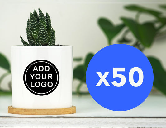 Bulk Planters With Custom Logo - 3" White Pot w/ Tray - Corporate Christmas Gifts - Company Gift - Bulk Client Gifts, Bulk Christmas Gifts