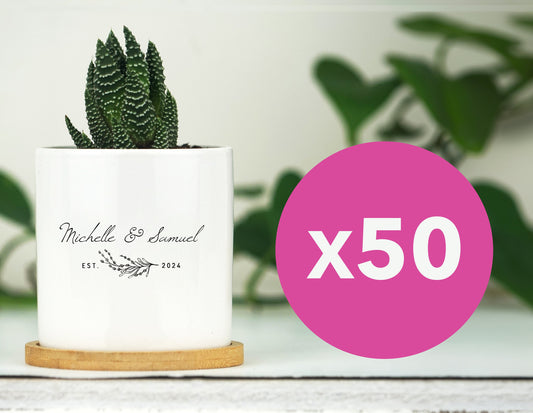 50 Planters w/ Personalized Design  - 3" Pot w/ Tray - Bulk Wedding Favors, Cheap Wedding Favors, Wedding Guest Favors, Bridal shower Favor