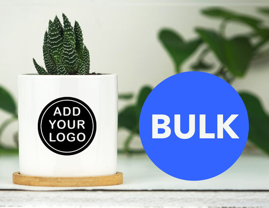 Bulk Planters With Custom Logo - 3" White Pot w/ Tray - Corporate Christmas Gifts - Company Gift - Bulk Client Gifts, Bulk Christmas Gifts