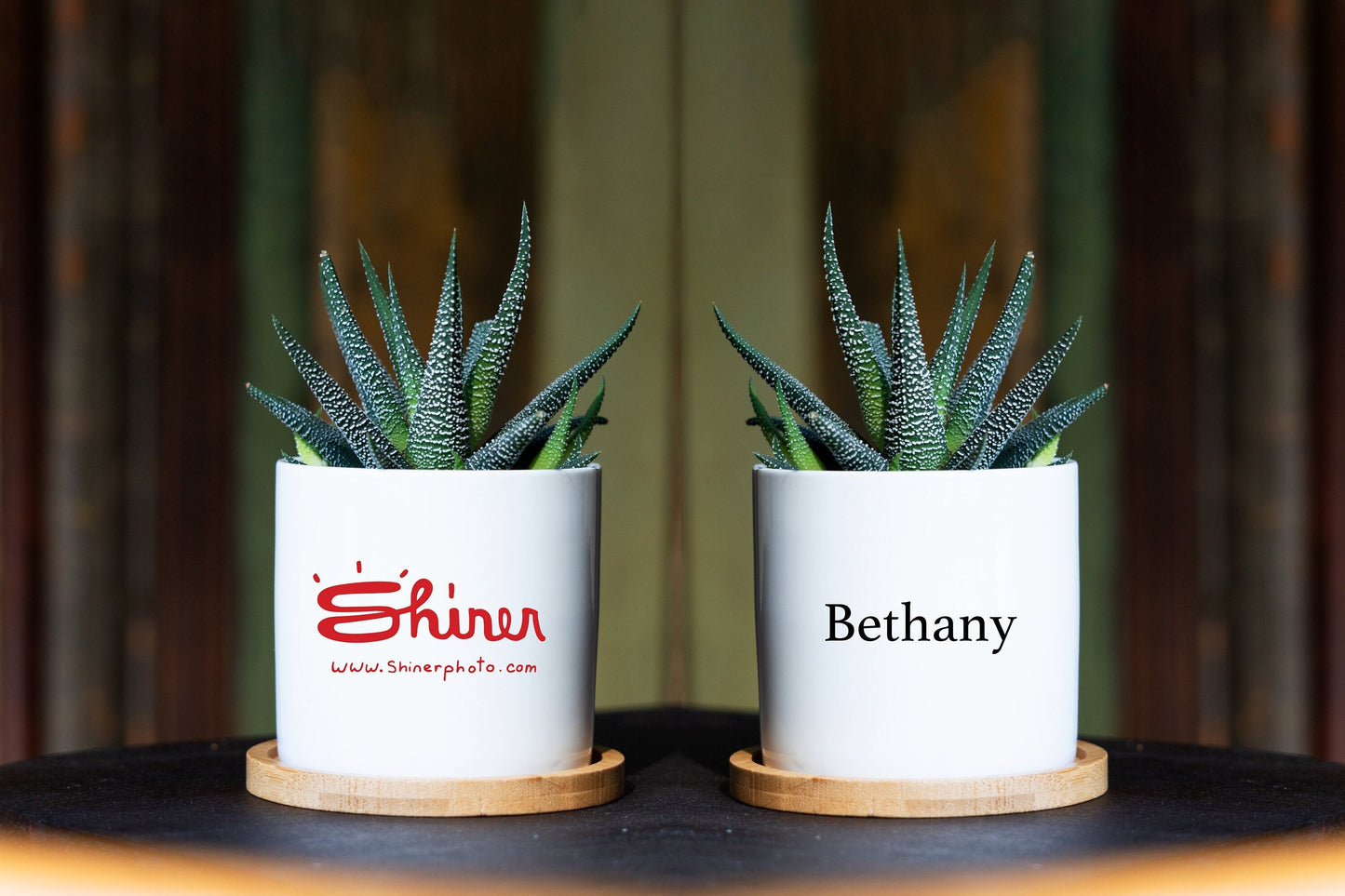 Double Sided Bulk Planters w/ Custom Logo - 3" White Pot - Corporate Christmas Gifts, Company Gift, Bulk Client Gifts, Bulk Christmas Gifts