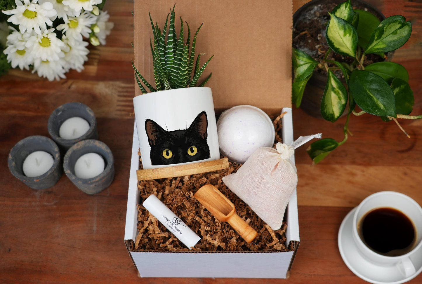 Black Cat Spa Gift Box - 3" White Ceramic Pot - Black Cat Planter, Cat Lover Gift, Cat Ears, Cat Gifts, Cat mom, Peeking Cat, Witchy Gifts