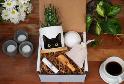 Black Cat Spa Gift Box - 3" White Ceramic Pot - Black Cat Planter, Cat Lover Gift, Cat Ears, Cat Gifts, Cat mom, Peeking Cat, Witchy Gifts