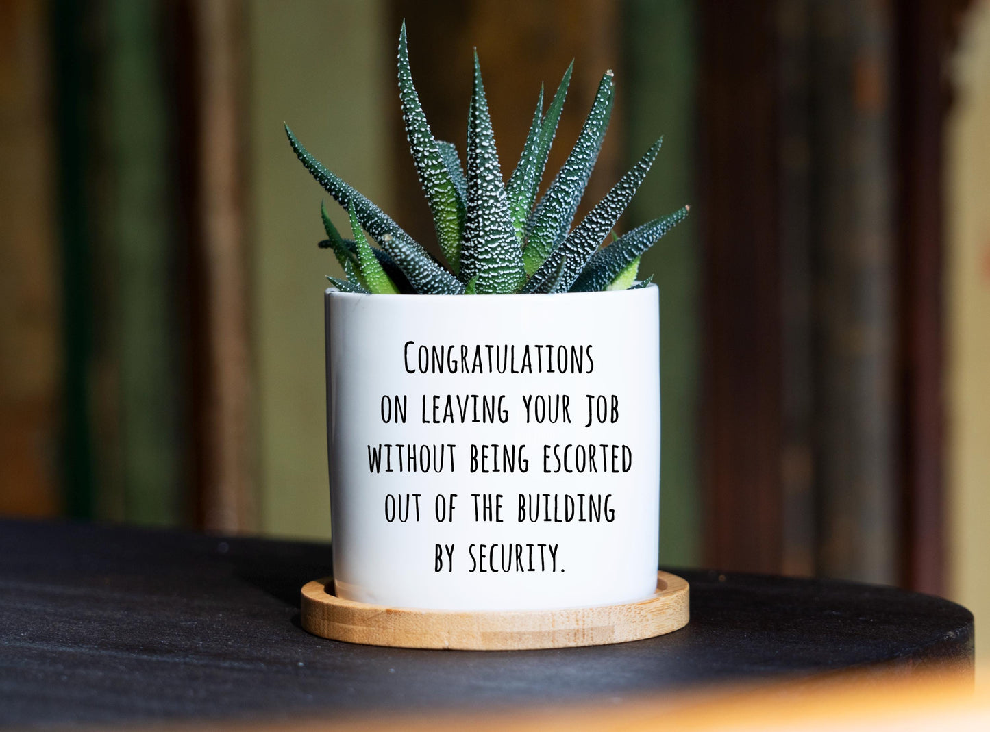 Funny Retirement Gifts for Women Men - Retirement Plant Pot for Boss, Retired Gifts for Coworker, Funny Succulent Planter