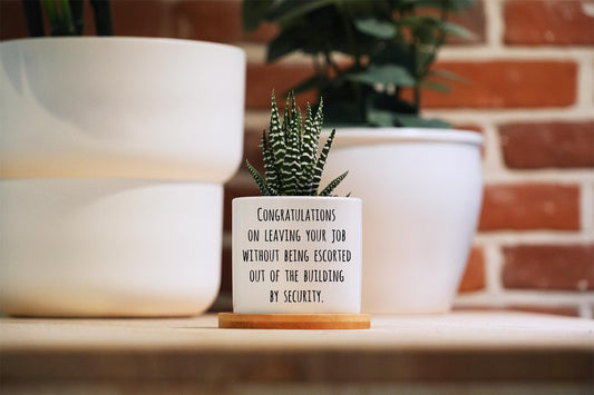 Funny Retirement Gifts for Women Men - Retirement Plant Pot for Boss, Retired Gifts for Coworker, Funny Succulent Planter