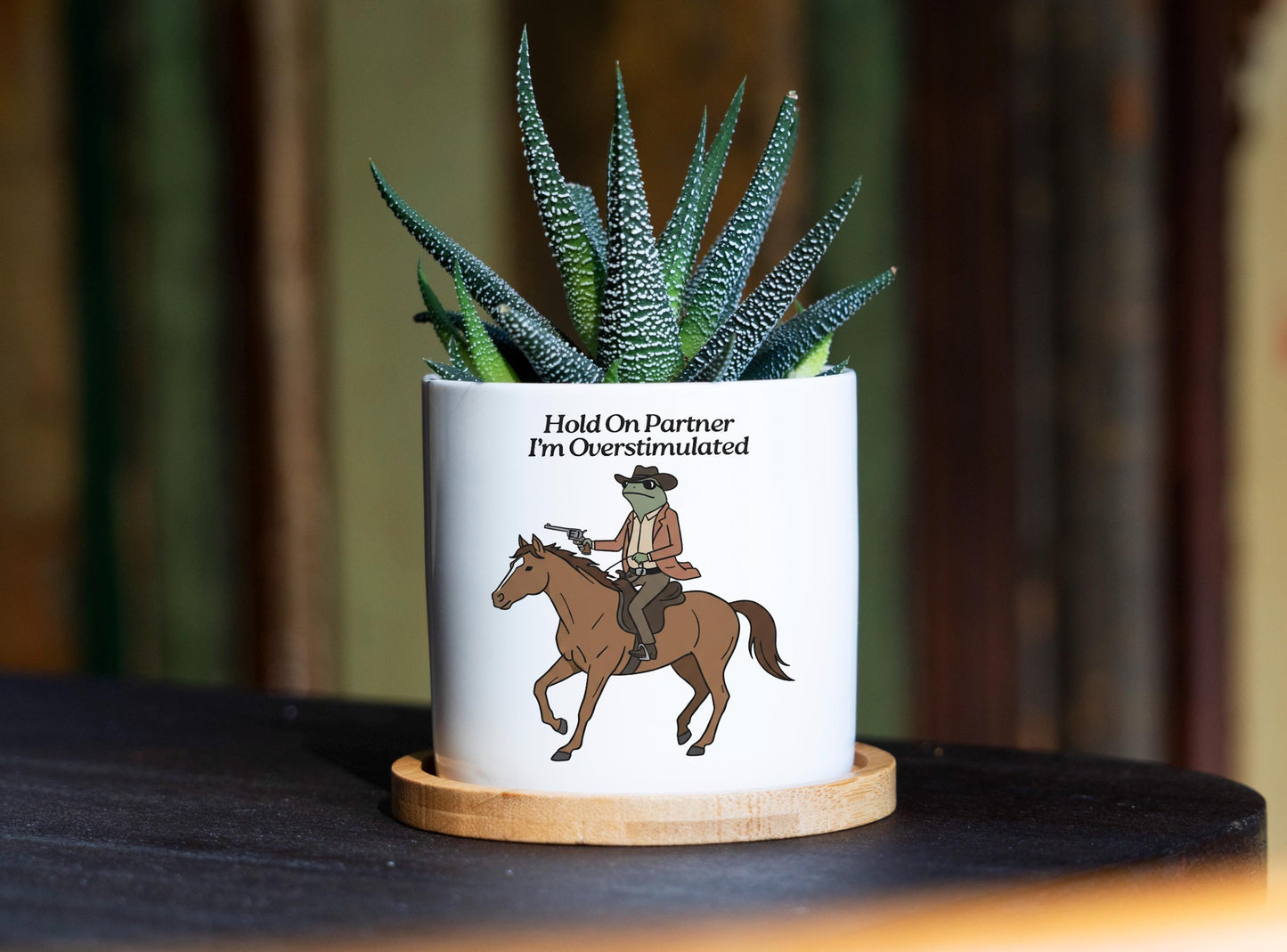 Hold On Partner I'm Overstimulated Planter - 3" Ceramic Pot w Tray - Funny Cowboy Frog Gift, Mental Health Gift, Unhinged, Coworker Gift