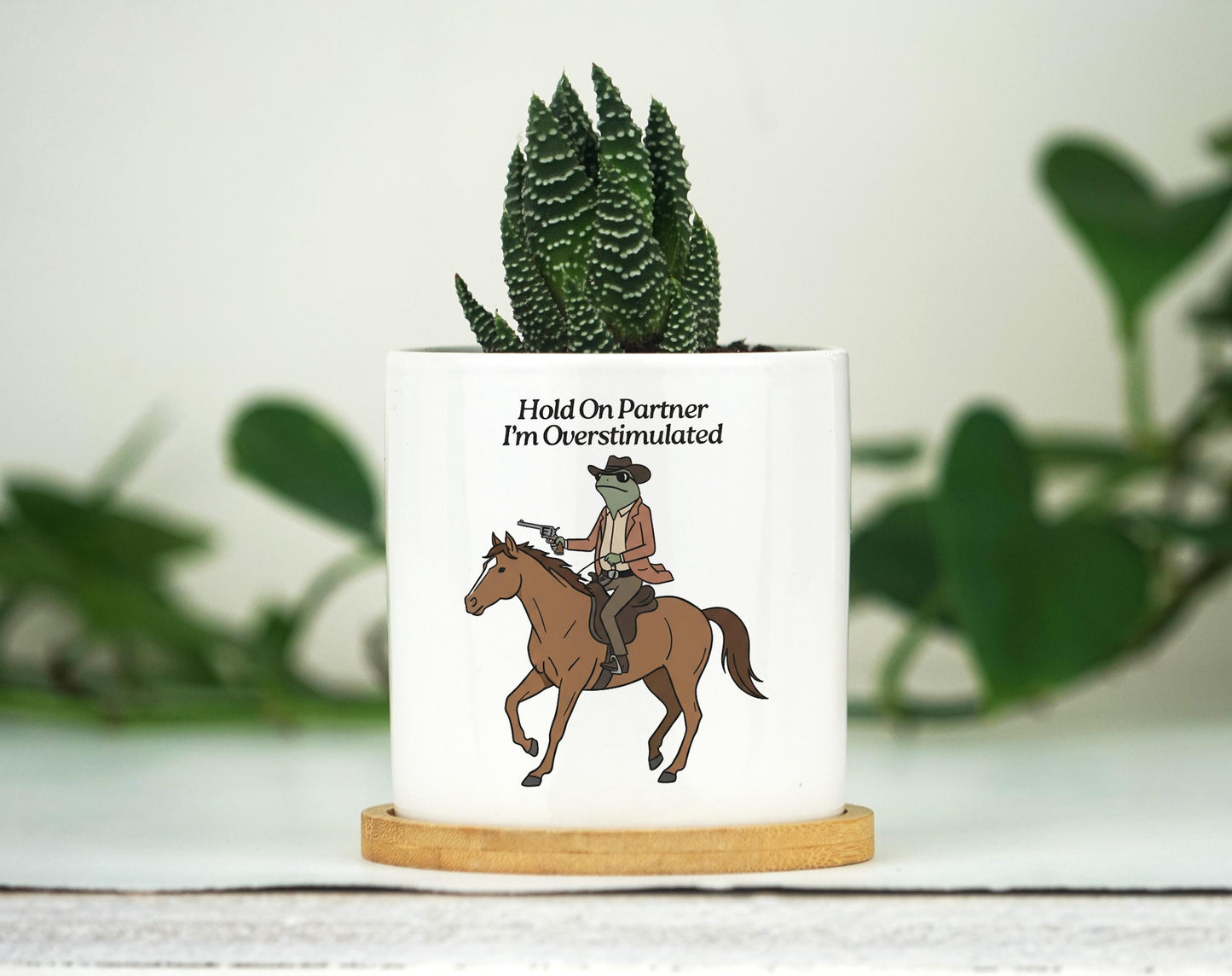 Hold On Partner I'm Overstimulated Planter - 3" Ceramic Pot w Tray - Funny Cowboy Frog Gift, Mental Health Gift, Unhinged, Coworker Gift
