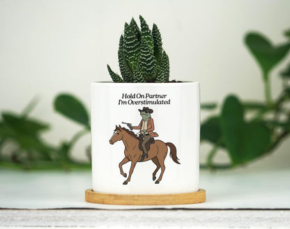 Hold On Partner I'm Overstimulated Planter - 3" Ceramic Pot w Tray - Funny Cowboy Frog Gift, Mental Health Gift, Unhinged, Coworker Gift