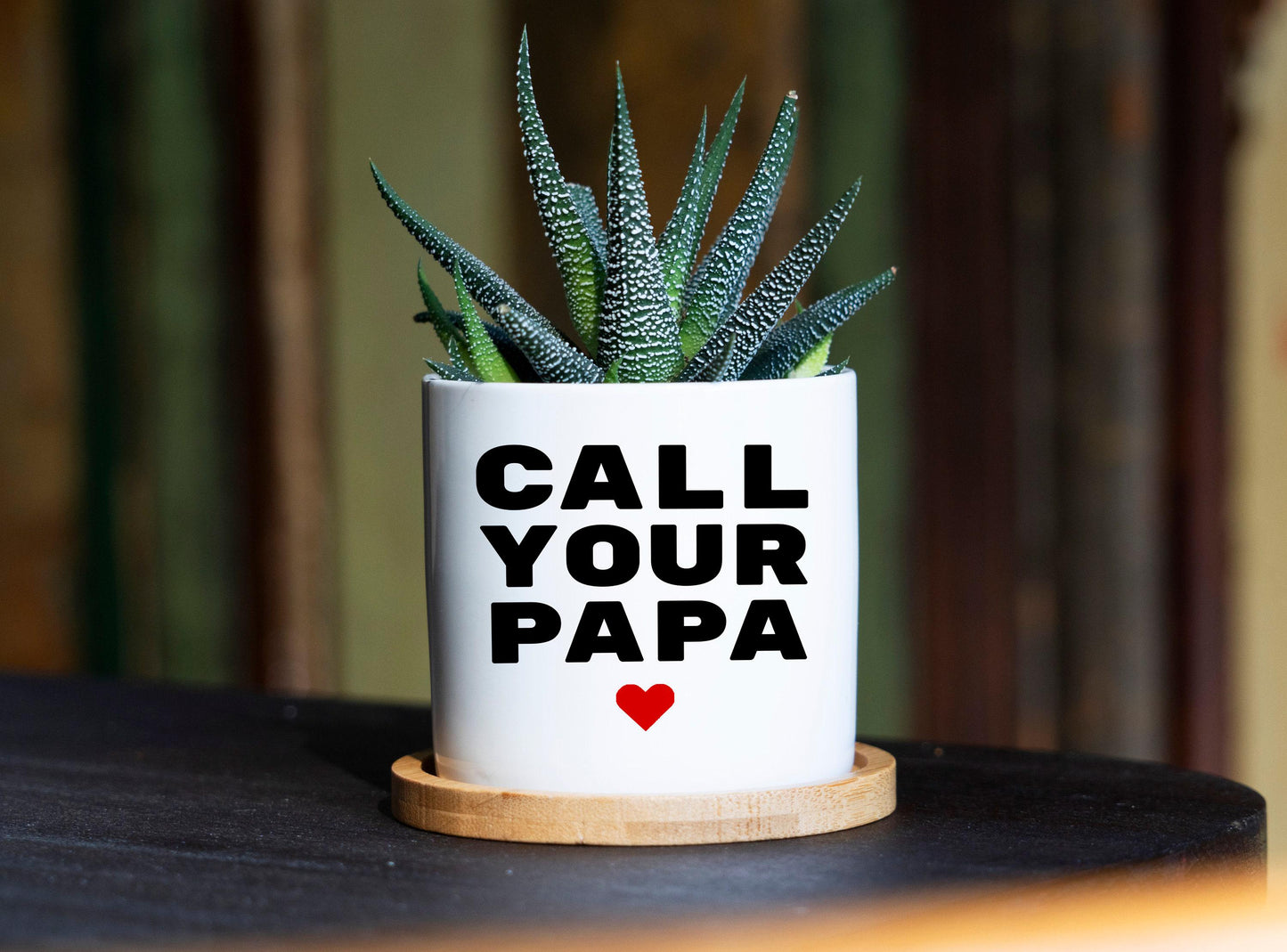 Call Your Papa Dorm Planter - 3" White Ceramic Pot - Dorm Decor Boho, Funny College Student Gift, Gift For Daughter, Graduation Gift