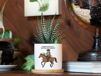 Hold On Partner I'm Overstimulated Planter - 3" Ceramic Pot w Tray - Funny Cowboy Frog Gift, Mental Health Gift, Unhinged, Coworker Gift