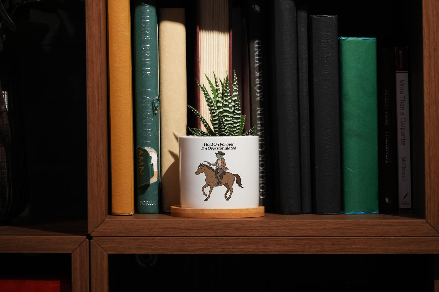 Hold On Partner I'm Overstimulated Planter - 3" Ceramic Pot w Tray - Funny Cowboy Frog Gift, Mental Health Gift, Unhinged, Coworker Gift