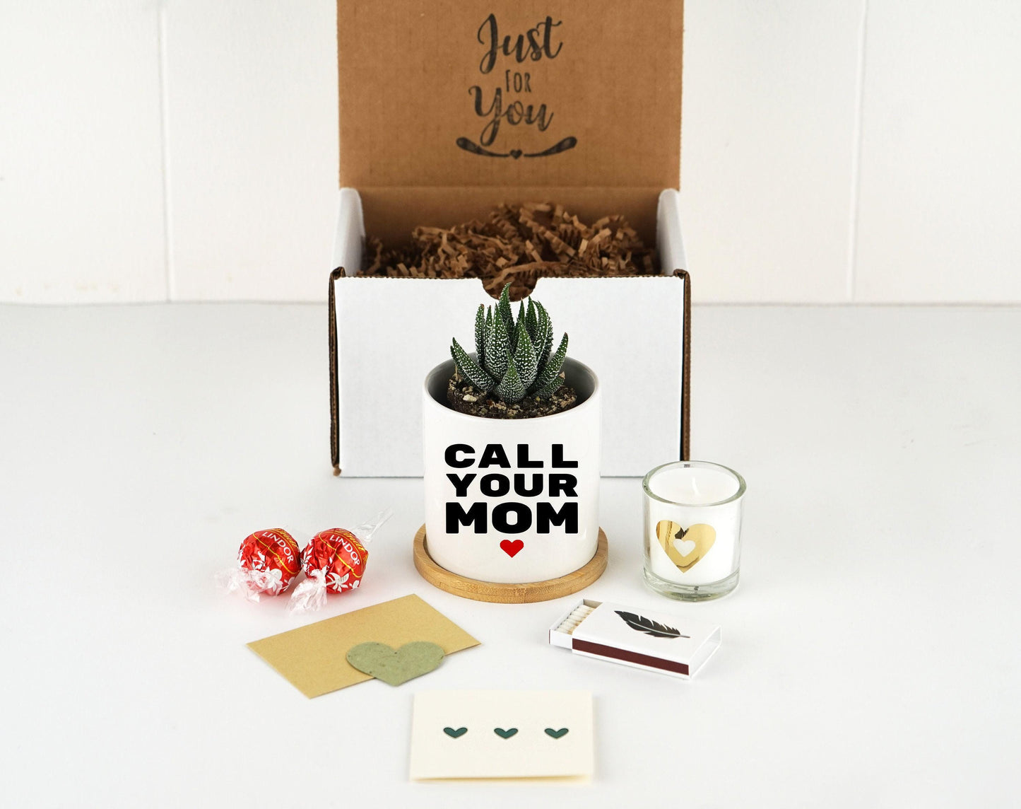 Call Your Mom Dorm Planter - 3" White Ceramic Pot - Dorm Decor Boho, Funny College Student Gift, Gift Idea For Her, Graduation Gift