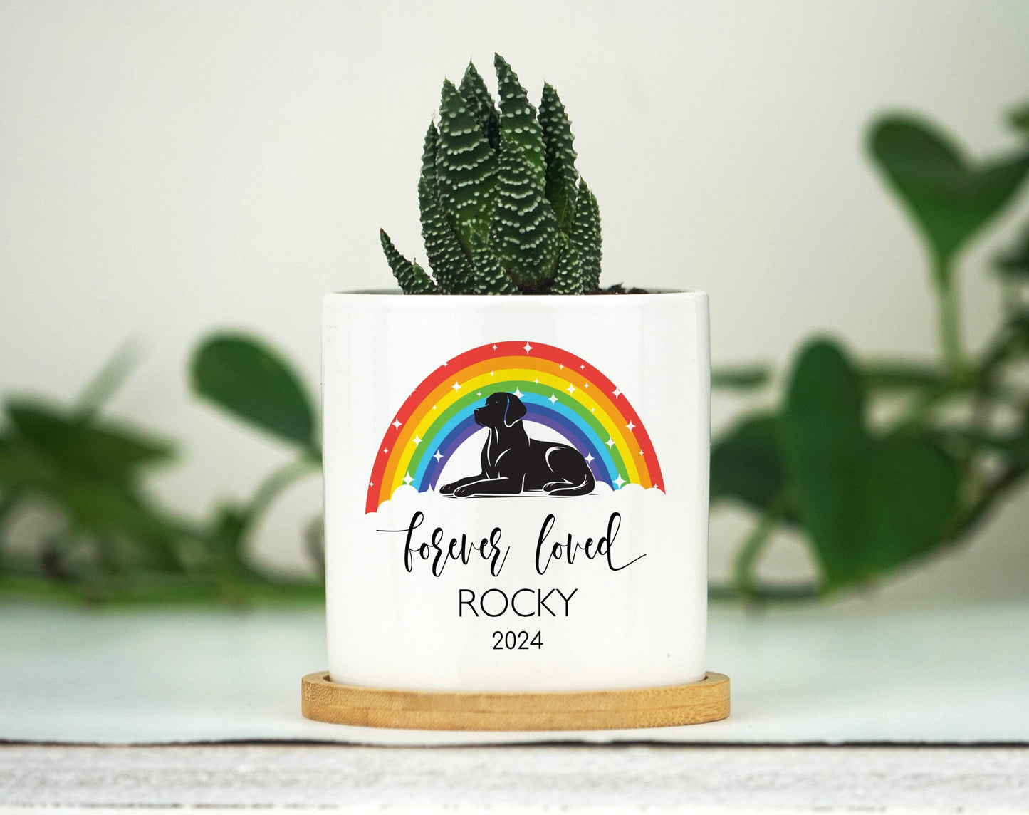 Personalized Dog Memorial Gift Planter - Rainbow Bridge - 3" White Pot - Pet Memorial Gift, Dog Remembrance Gift, Pet Loss Gift
