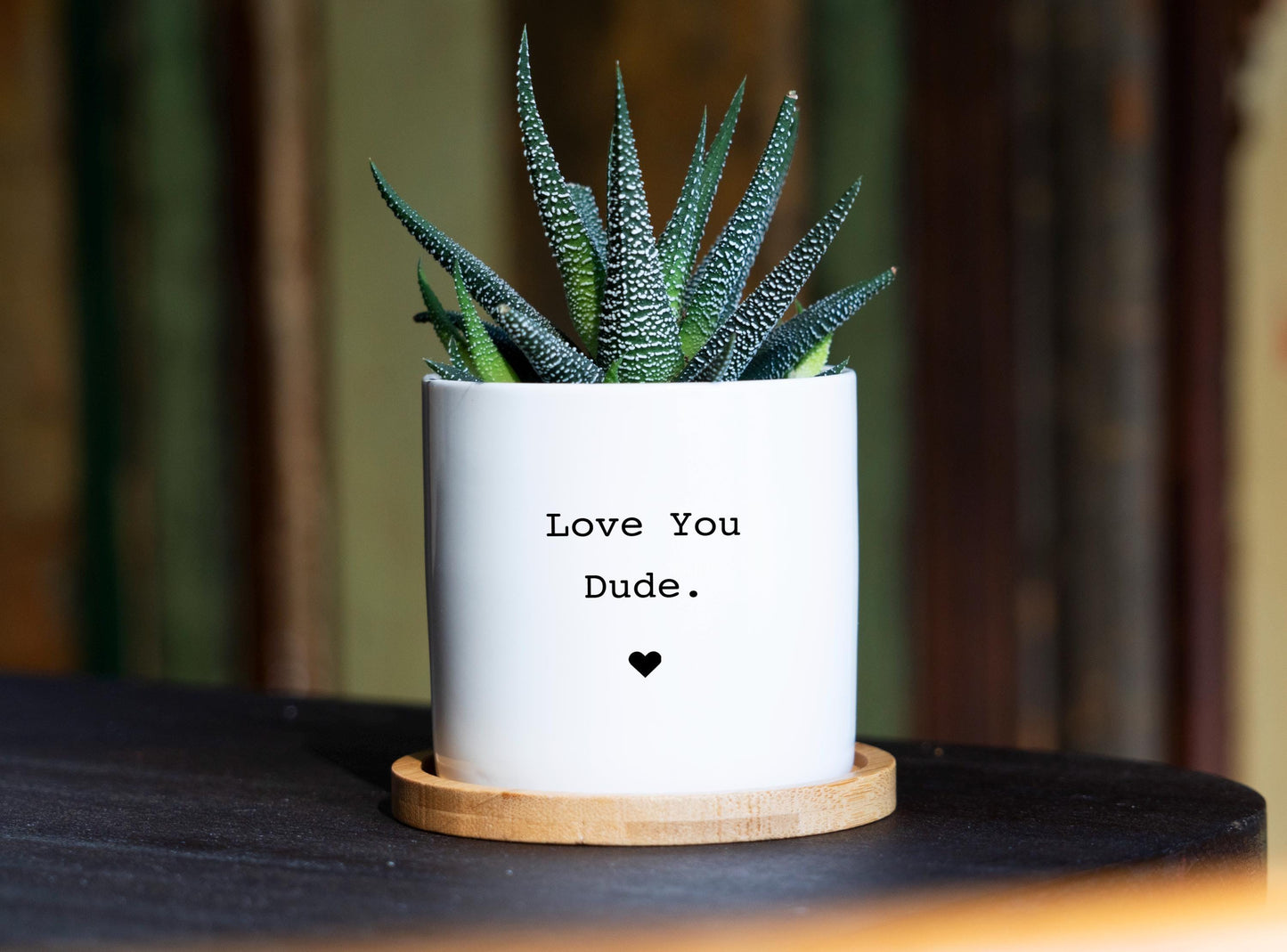 Personalized Planter Big Brother Gift - 3" White Ceramic Pot w/ Bamboo Tray, Brother Birthday Gift , Brother In Law Birthday Gift