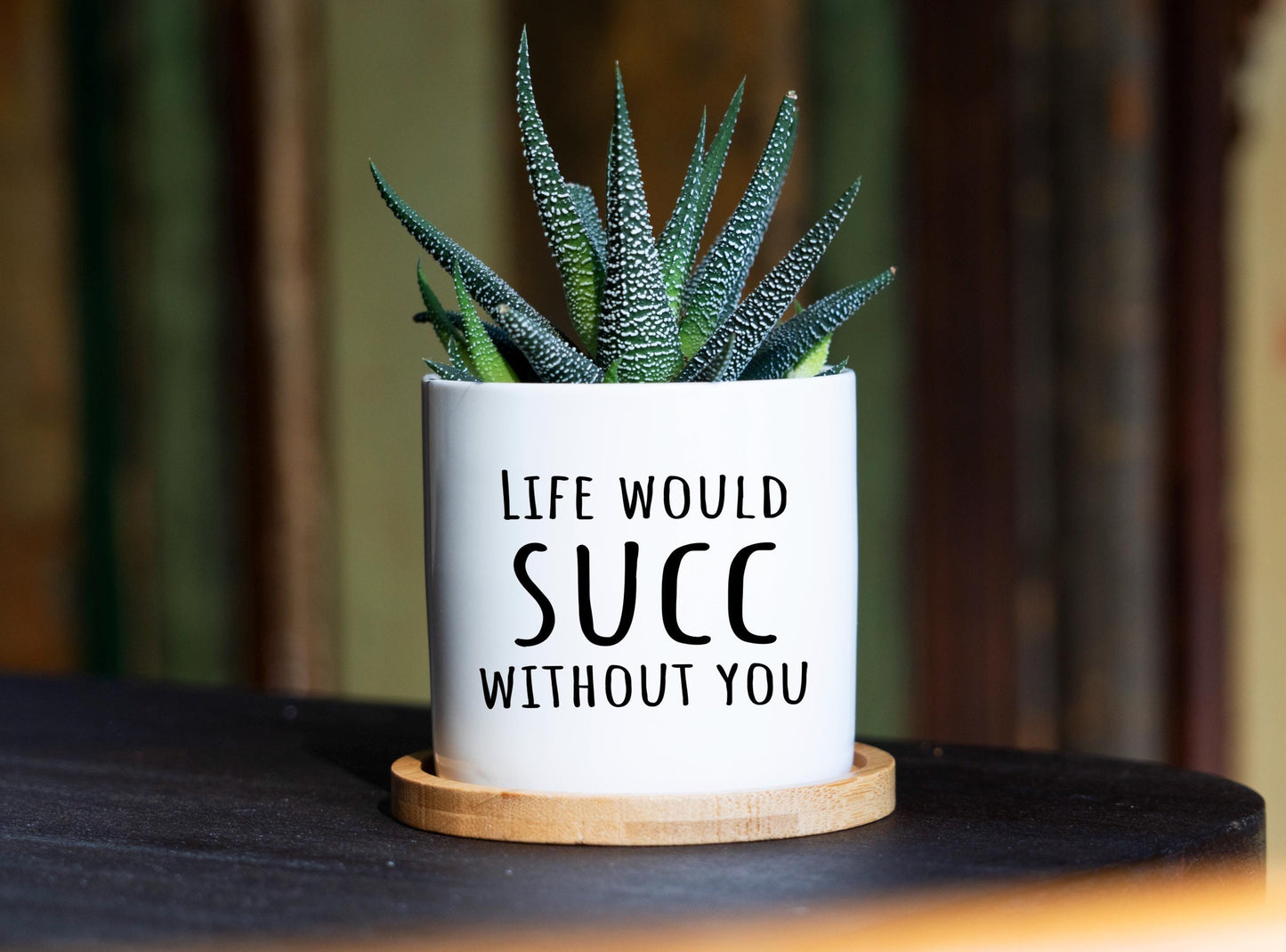 Life Would Succ Without You Pot - 3" Ceramic Pot - Sister In Law Gift, Funny Sister Gift, Brother Gift, Little Sister Gift, Big Sister Gift