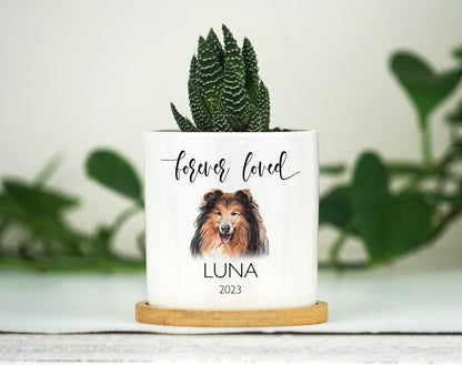 Personalized Dog Memorial Gift Planter - 3" White Ceramic Pot w/ Bamboo Tray - "Forever Loved" - Dog Sympathy Gift - Pet Memorial