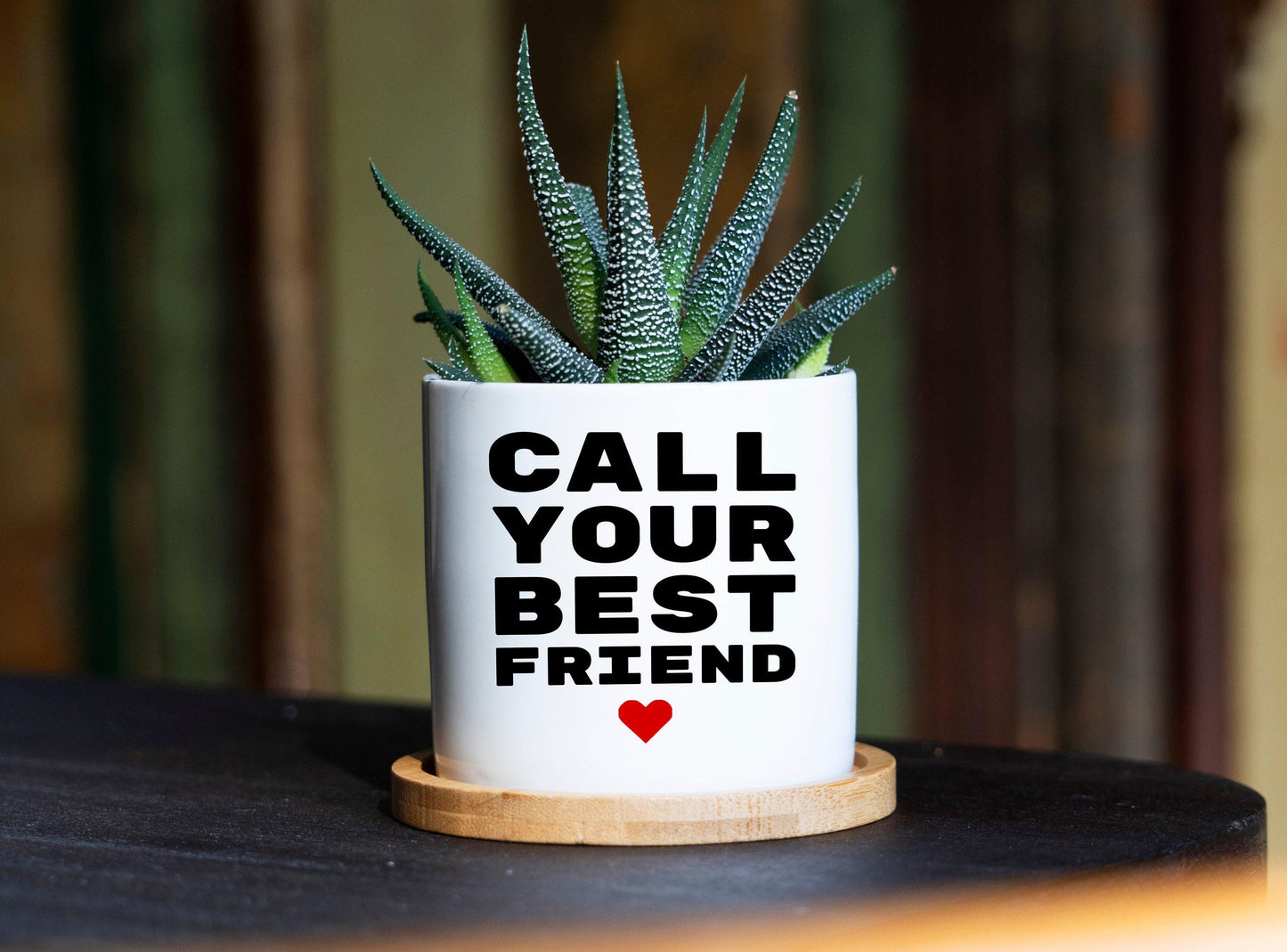 Best Friend Gift Planter Gift - 3" White Ceramic Pot - Work Bestie Gift Idea, Long Distance Gift, Funny Goodbye Gift, Moving Gift