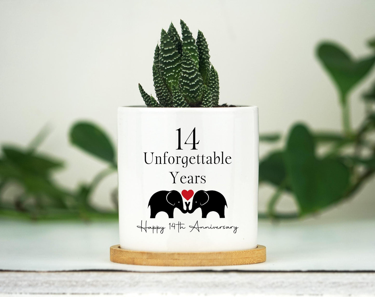 14th Anniversary Gift - 3" White Ceramic Pot, 14th anniversary gift, Wedding Anniversary, 14th Anniversary Gift for Him,Anniversary Gift Box