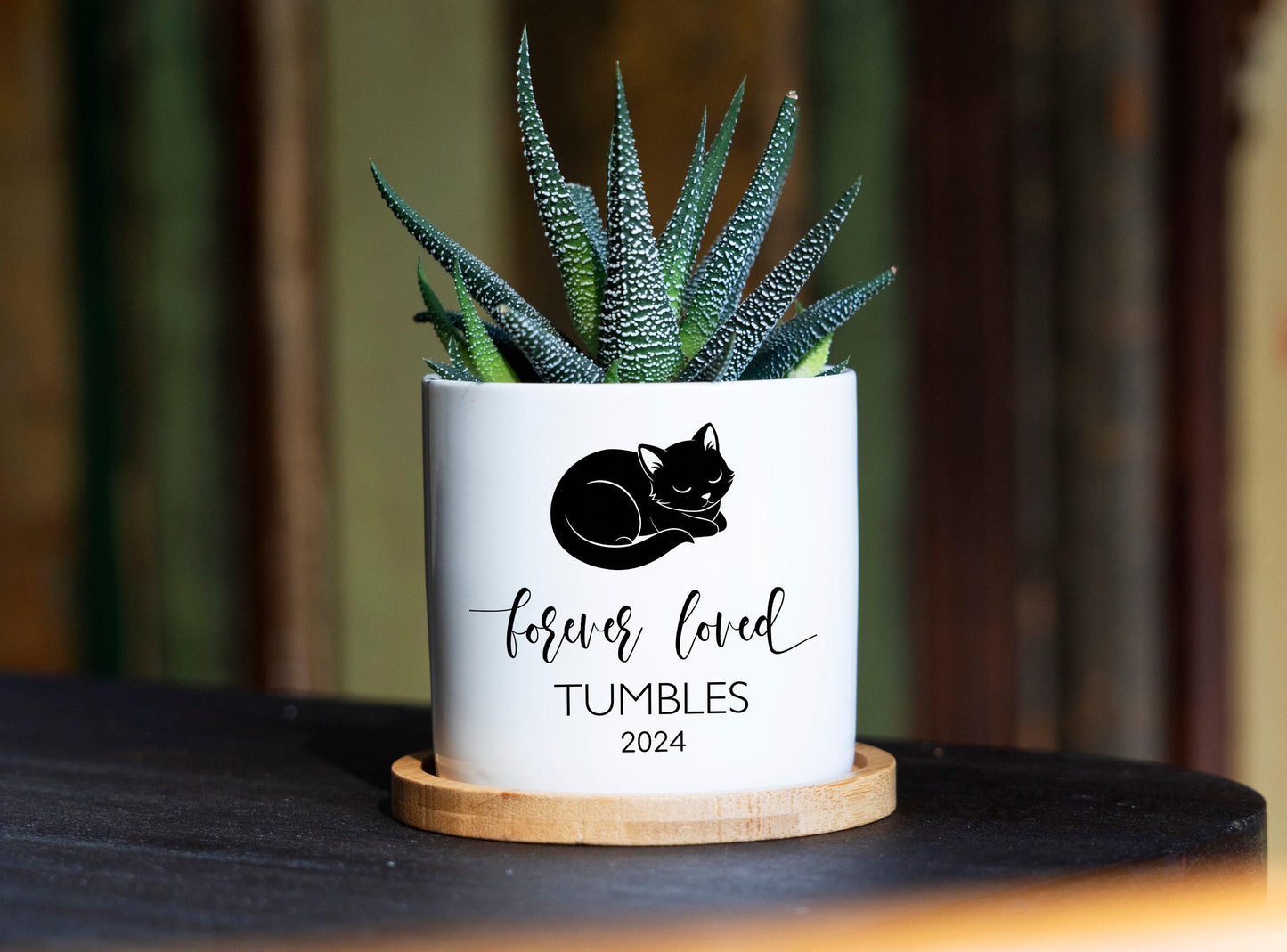 Personalized Cat Memorial Gift Planter - 3" White Pot - Cat Sympathy Gift, Cat Planter, Cat Loss Gifts, Cat Plant pot, Black Cat Memorial
