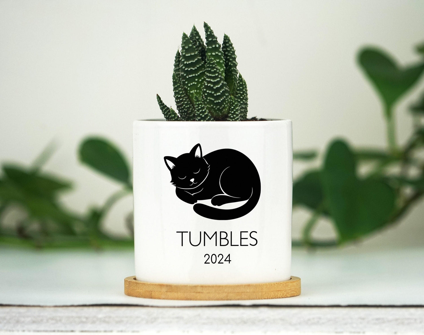 Personalized Cat Memorial Gift Planter - 3" White Pot - Cat Sympathy Gift, Cat Planter, Cat Loss Gifts, Cat Plant pot, Black Cat Memorial