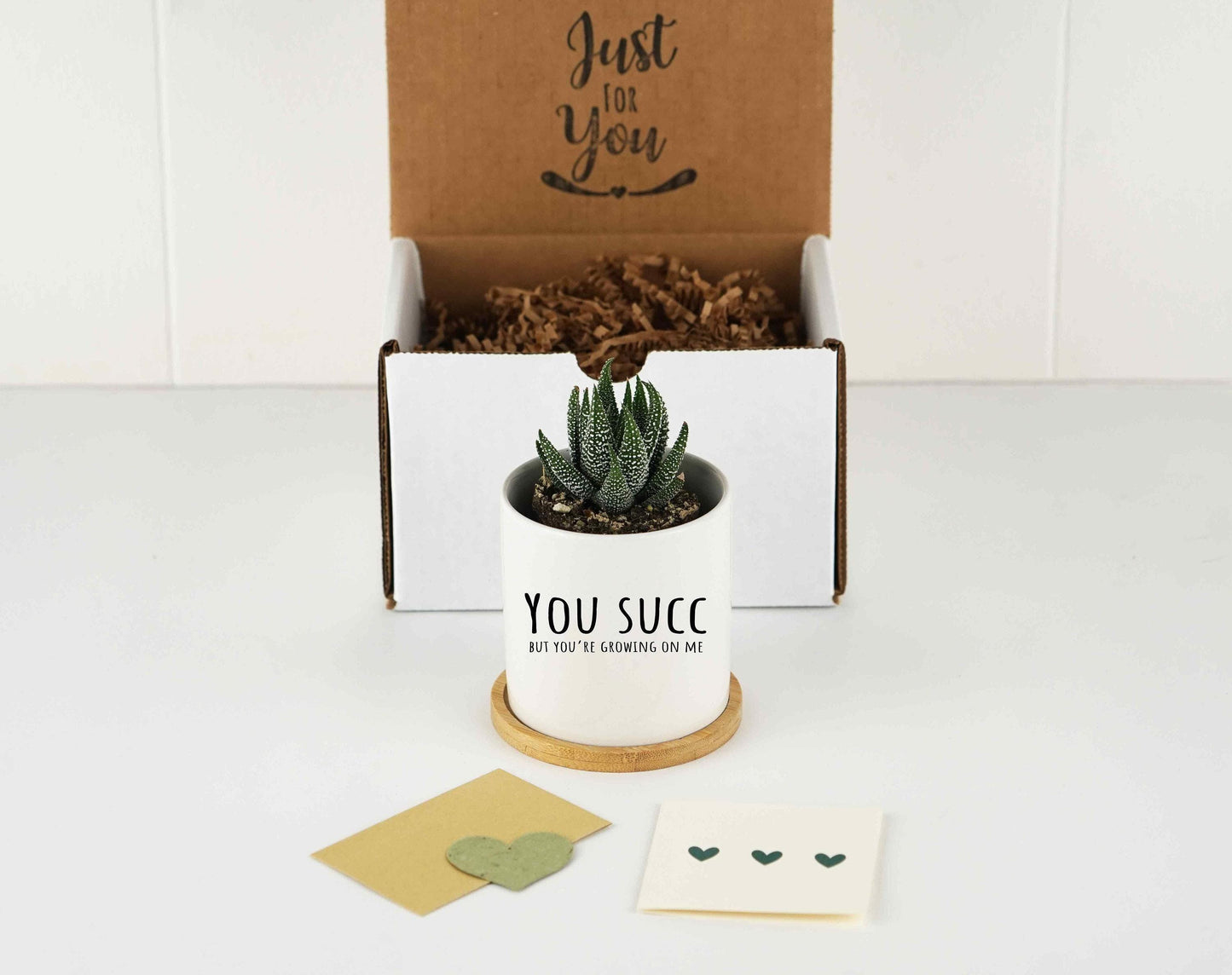 Personalized Planter Little Sister Gift Box- 3" White Ceramic Pot w/ Tray, Funny Sister Birthday Gift Box, Sister In Law Gift, Daughter Gift