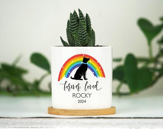 Personalized Dog Memorial Gift Planter - Rainbow Bridge - 3" White Pot - Pet Memorial Gift, Dog Remembrance Gift, Pet Loss Gift