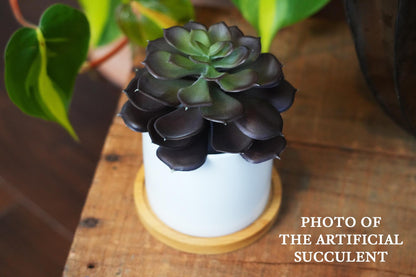 A potted artificial succulent plant with dark green leaves sits on a wooden surface, with a blurred background of more potted plants.