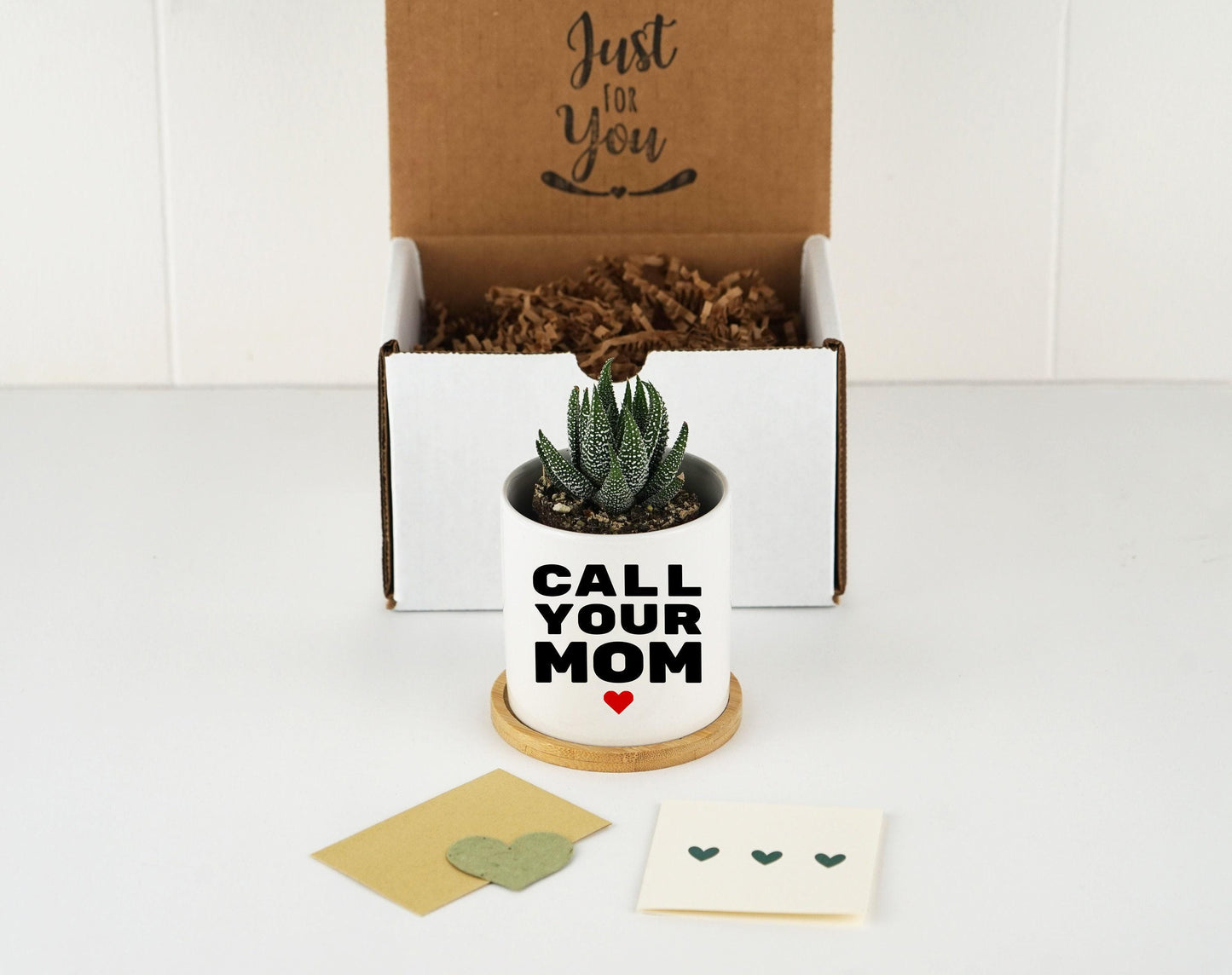 Call Your Mom Dorm Planter - 3" White Ceramic Pot - Dorm Decor Boho, Funny College Student Gift, Gift Idea For Her, Graduation Gift
