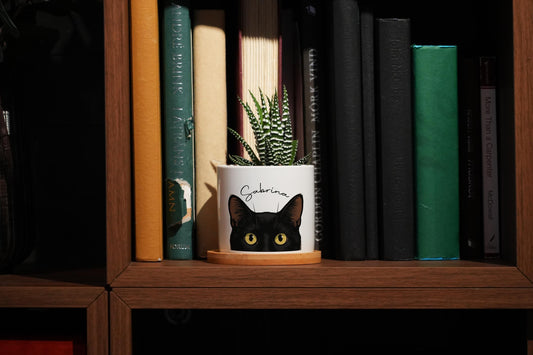 Black Cat Succulent Pot - 3" White Ceramic Pot - Black Cat Planter, Cat Lover Gift, Cat Ears, Cat Gifts, Cat mom, Peeking Cat, Witchy Gifts