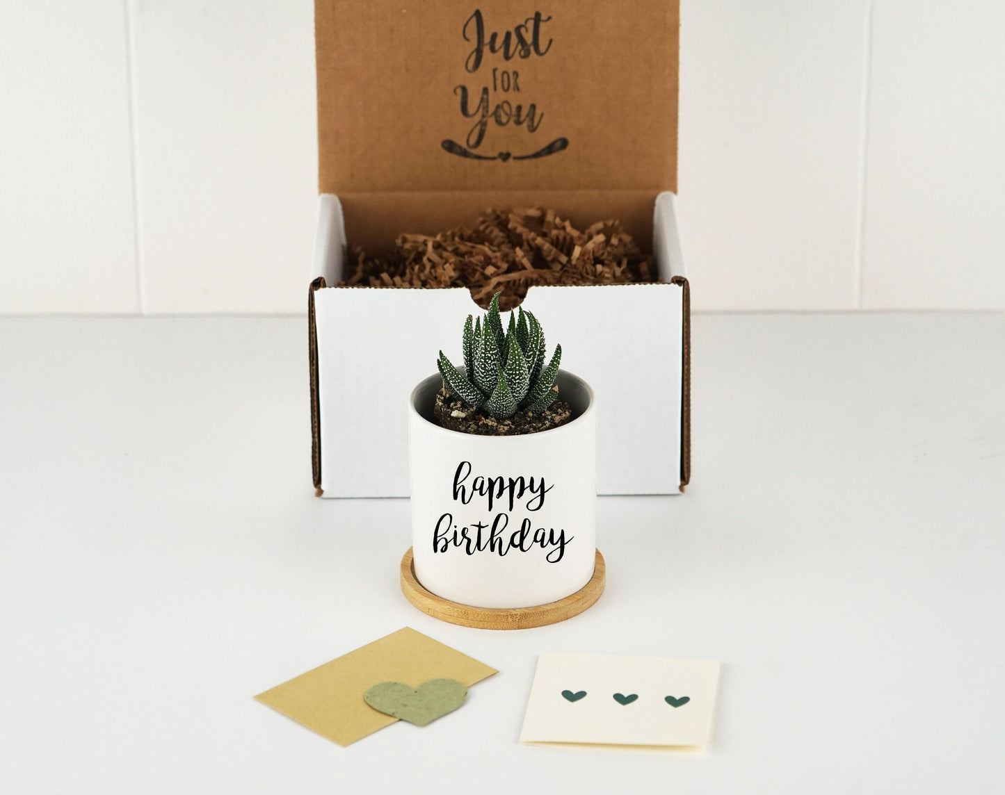 Happy Birthday Gift Box -  3" White Ceramic Pot w/ Bamboo Tray - Friendship Gift, Birthday Gift Box, Gift for Her, Care Package
